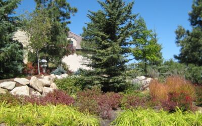 Colorado Landscape Ideas Perfect For Summer