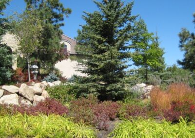 Plantings | Late Summer