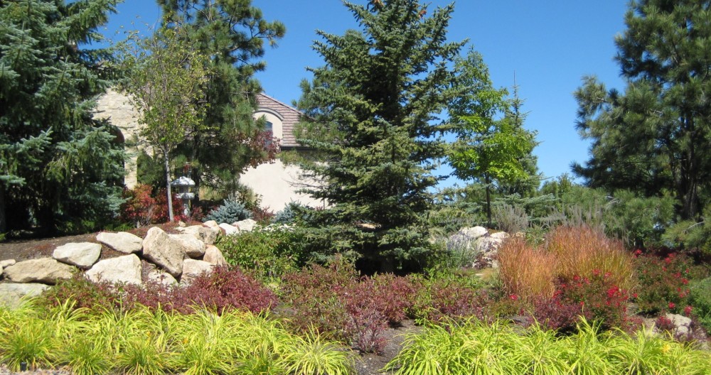 Colorado Landscape Ideas Perfect For Summer