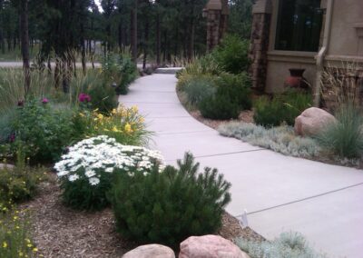 Path | Plantings