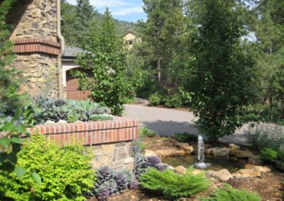 Water Feature | Plantings | Aspen Trees