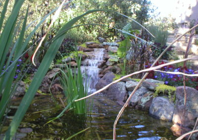 Water Feature