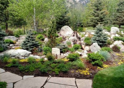Xeriscape | Rocky Mountain | Planting