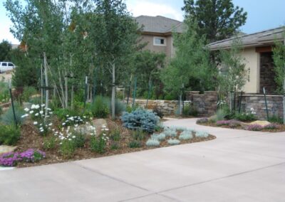 Plantings | Natural