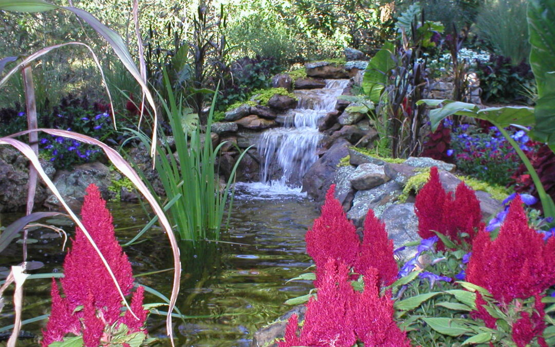 Water Features
