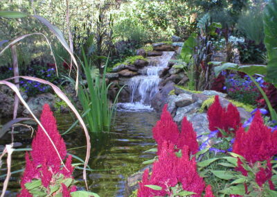 Water Features