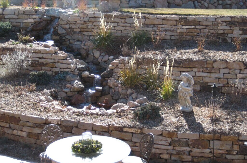 The Necessity of Watering Your Plants & Grass In Winter