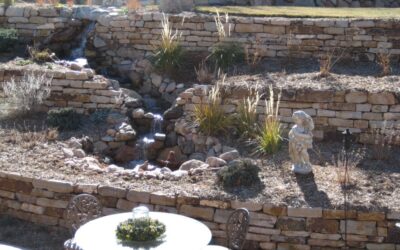 The Necessity of Watering Your Plants & Grass In Winter