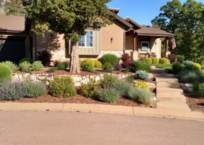 Xeriscape | Plantings
