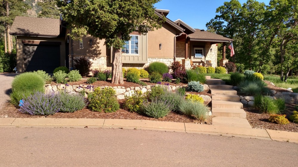 Xeriscape | Plantings Xeriscape | Plantings