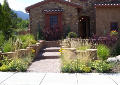 Xeriscape Plantings | Pavers
