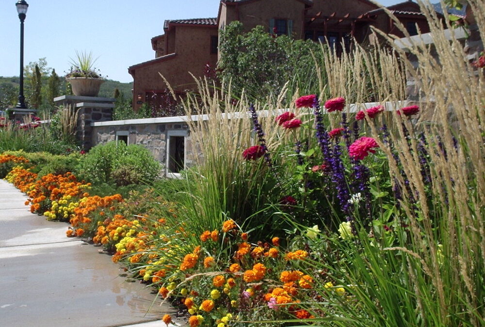 Summer Garden Chores
