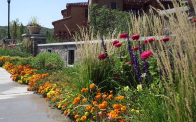 Summer Garden Chores