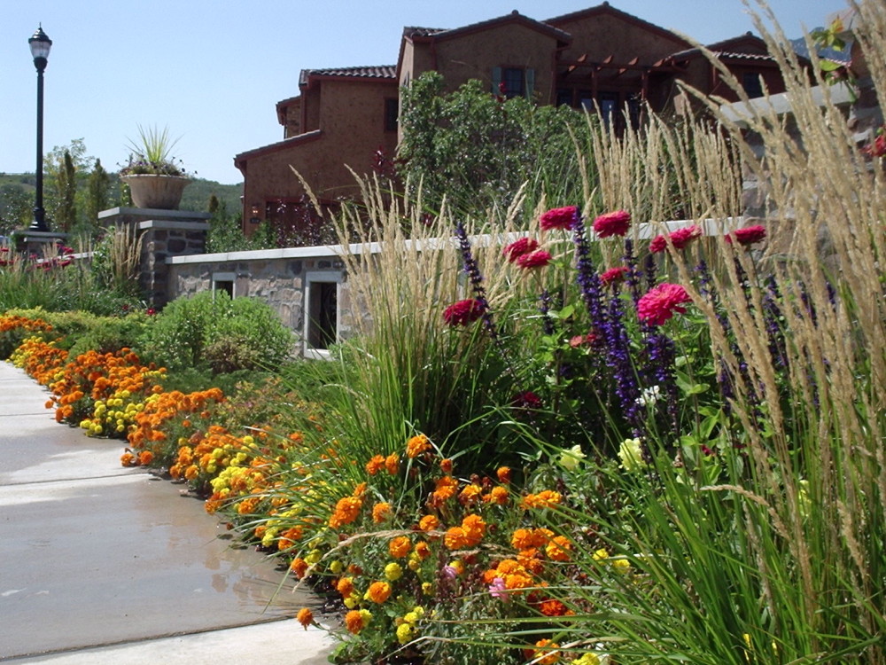 Plantings | Grasses | Flowers Plantings | Grasses | Flowers