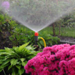 Irrigation Irrigation