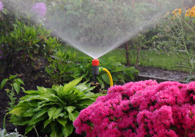 Efficient Irrigation