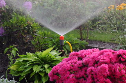 Irrigation Irrigation