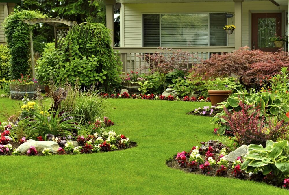 Colorado Garden Ideas