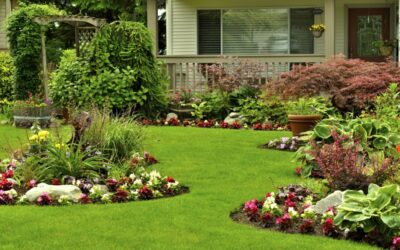 Colorado Garden Ideas